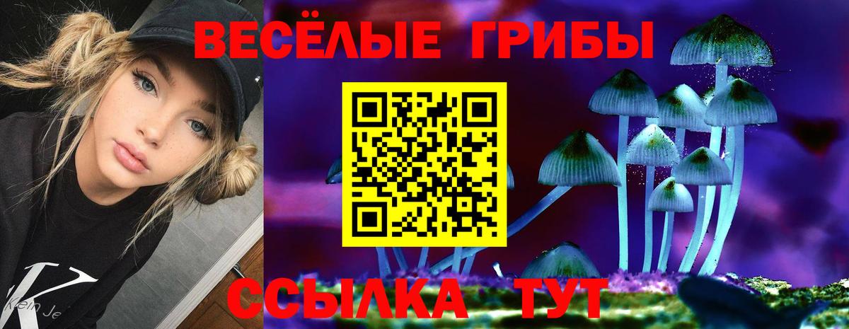 Псилоцибиновые грибы Psilocybine cubensis Владивосток